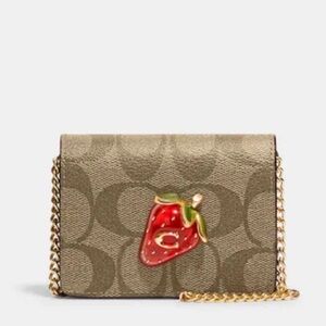 Coach Strawberry wallet on a chain